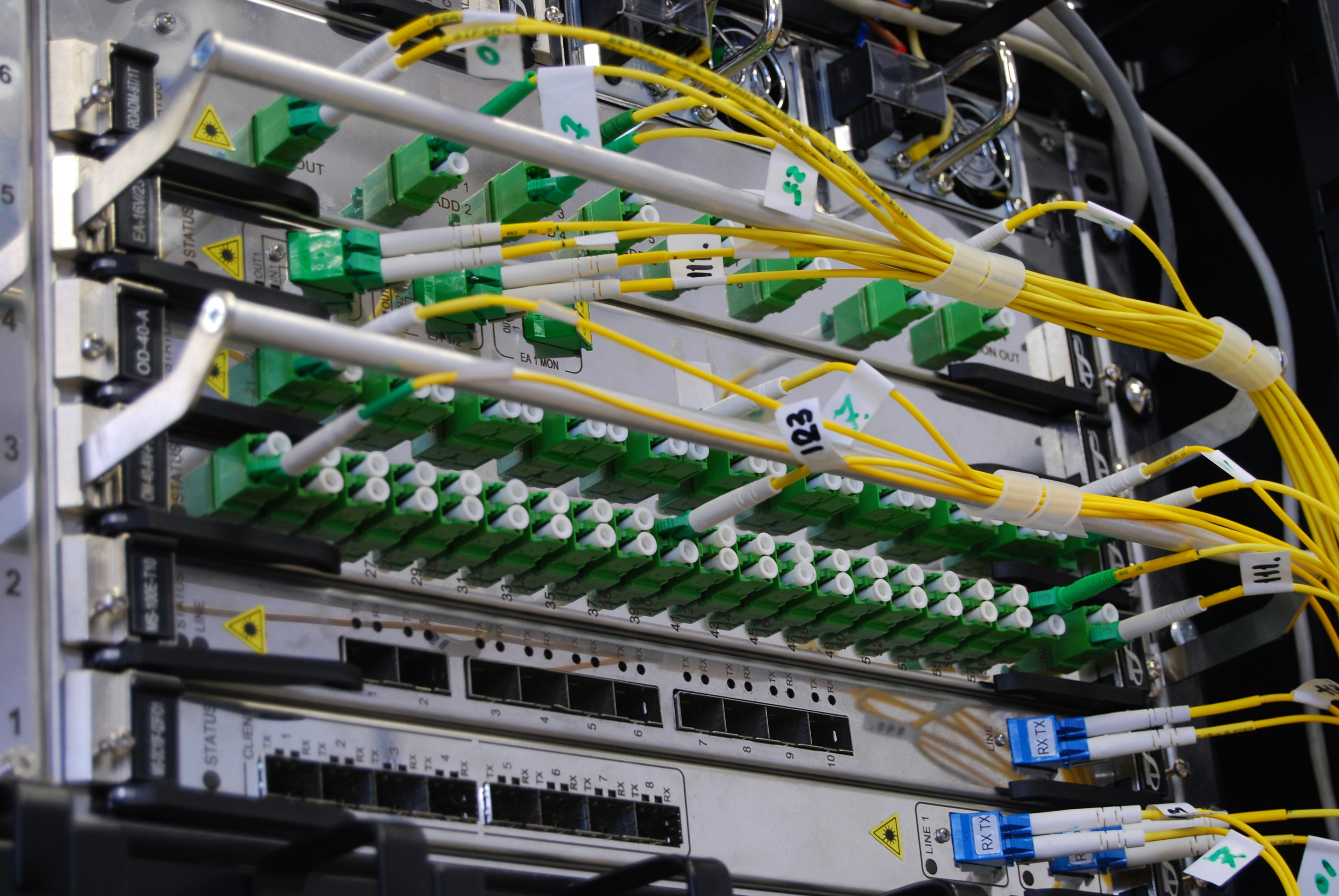 “DDoS-bestrijding: Een kat-en-muisspel zonder eindwinnaar”